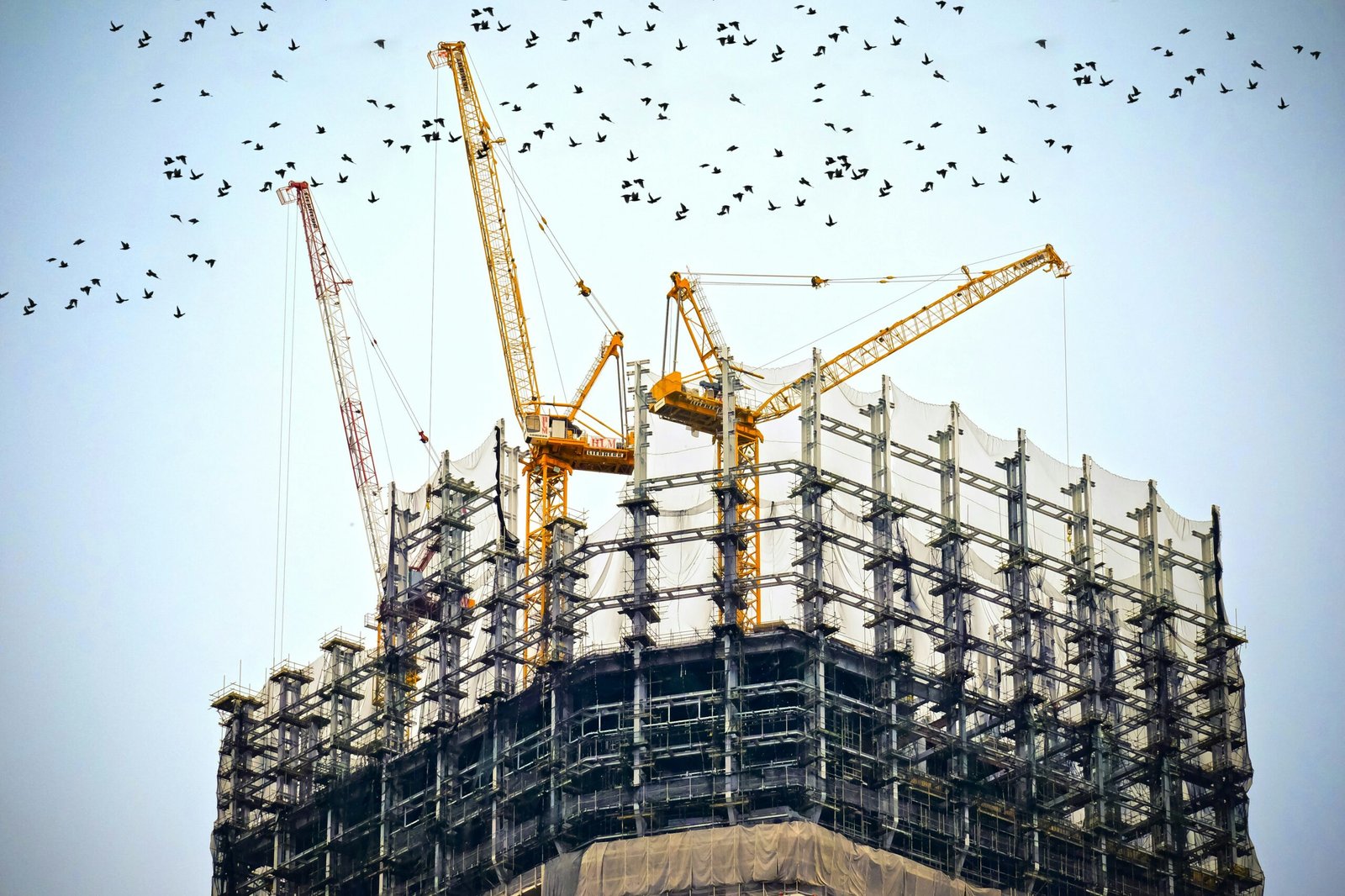 Management and Smart Design Engineering – Group: Proveyendo soluciones inteligentes y efectivas a nuestros clientes